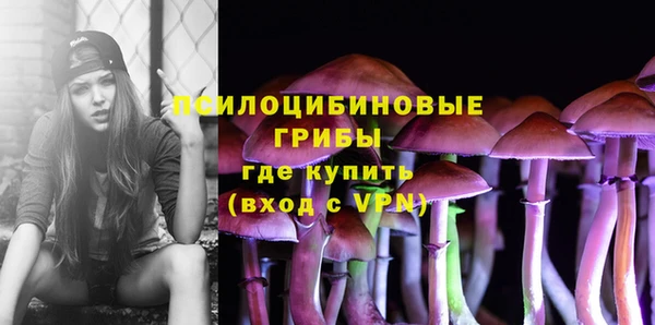 ешки Гусев