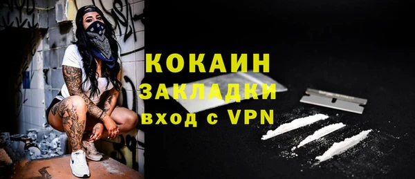 ешки Гусев