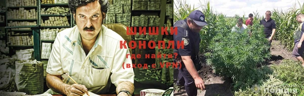 каннабис Магас
